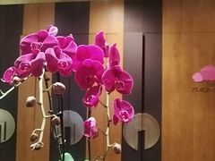 -桃花源中餐厅(金茂豪华精选酒店)
