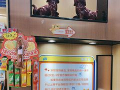 -pd派德宠物中心医院24H急重症·眼科中心·血液透析中心(嵩山北路店)