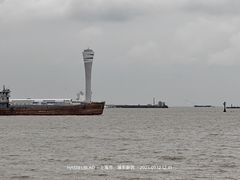 -上海滨江森林公园