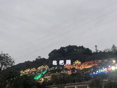 -枇杷园食为鲜火锅(南山店)