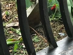 -文昌阁-老东门遗址