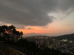 -福道