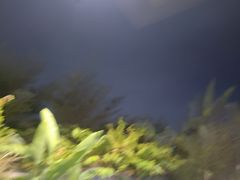 -马家斑.鲜鱼火锅(松湖万科店)