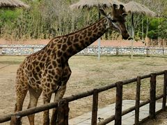 -北京野生动物园