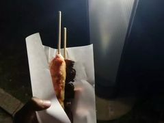 -台场海滨公园船码头