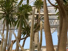 -北京植物园-展览温室