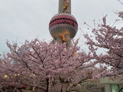 -东方明珠广播电视塔