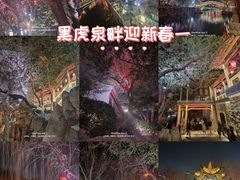 -环城公园