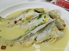 -杨记海鲜楼(三门黑金冠店)