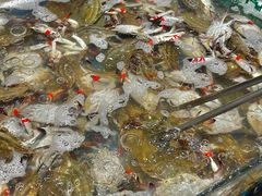 -半岛听涛蒸汽海鲜自助(K11店)