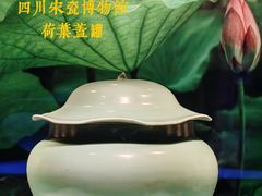 -四川宋瓷博物馆