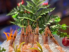 -千岛蚝高压锅生蚝·人参火锅(白云万达店)