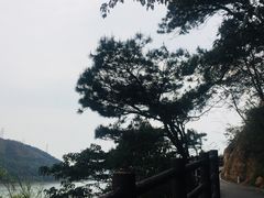 -羚羊峡古栈道森林公园