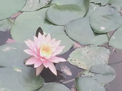 -云溪植物园