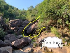 -广州白江湖森林公园