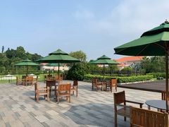 -厦门悦华酒店·绿庭主题自助餐厅