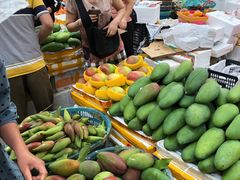 -三亚新鸿港水果一级批发市场