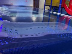 -水晶之星洗浴温泉汗蒸