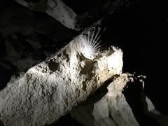 -怀托摩萤火虫洞