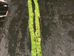 -冰城小镇音乐串吧·聚会餐厅(百子湾店)