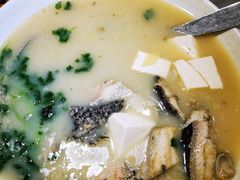 鱼头豆腐芫茜汤-朱仔记食府(江南大道店)