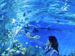 -顺德南宏海立方海洋公园