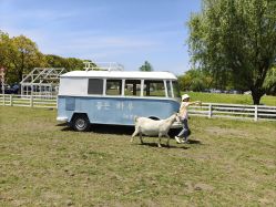 -BabyA 专业婴童摄影(古北时尚广场店)