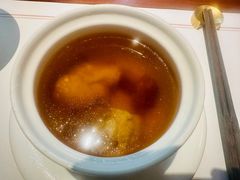 -觀芷隐轩