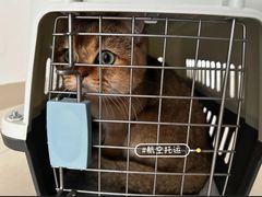 -平安金融中心云际观光层