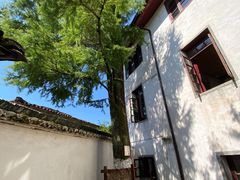 -仙霞关景区