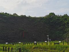 -六合国家地质公园桂子山景区
