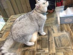 -小时光咖啡馆(北锣鼓巷店)
