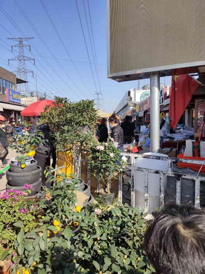 中环花鸟鱼虫市场-"比较传统的一个花鸟鱼虫市场了,之前去过一.