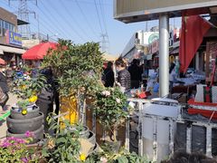 -中环花鸟鱼虫市场