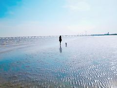 -南汇嘴观海公园