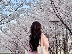 -南京明基医院