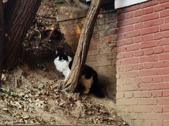 -北京动物园-畅观楼