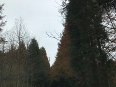 -山王坪喀斯特国家生态公园