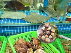 -富临港蒸汽海鲜(栈桥店)