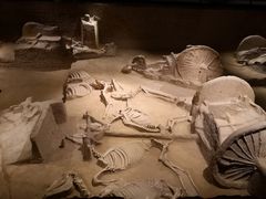 -洛阳周王城天子驾六博物馆