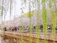 -海棠花溪(元大都城垣遗址公园)