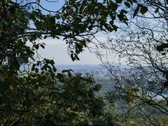-紫金山天文台