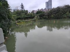 -四海公园(南山区)