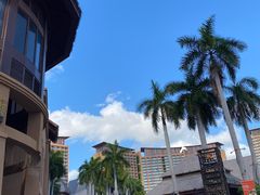 -三亚湾红树林度假世界(木棉酒店)