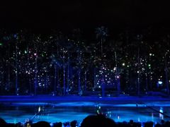 -三亚红色娘子军演艺公园景区