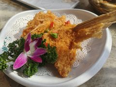 -淘米捞·米汤脆鲩鱼火锅(福田皇岗店)