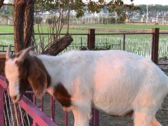 -稻梦空间冰雪小镇