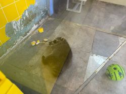 -神奇动物撸宠馆·羊驼·小浣熊·异宠(豫园店)