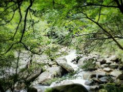 -白云源风景区