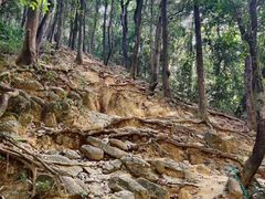 -火炉山森林公园